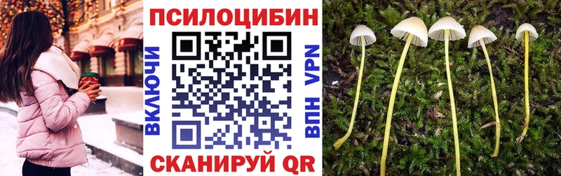 гидра   Свирск  Псилоцибиновые грибы MAGIC MUSHROOMS 